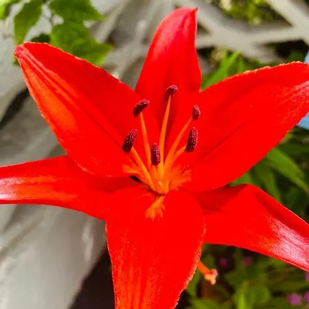 アパート La Perle Noire