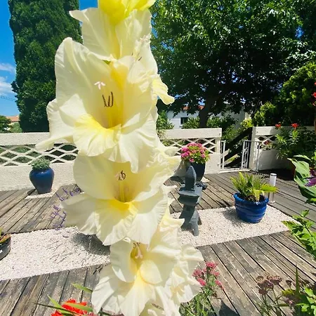 アパート La Perle Noire