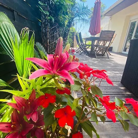 La Perle Noire * アグド